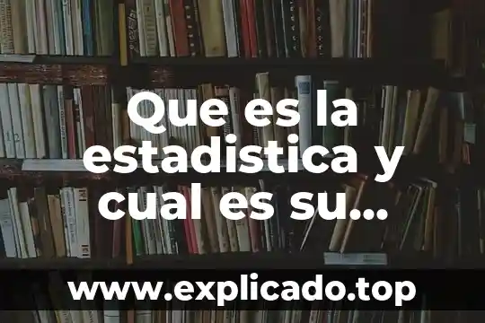 Que es porno caracteristicas funcion y finalidad 4 Que es la estadistica y cual es su finalidad