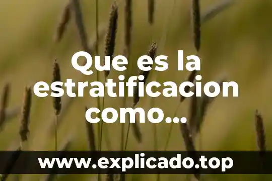 Que es analisis de la estratificacion de las clases 3 Que es la estratificacion como herramienta de calidad