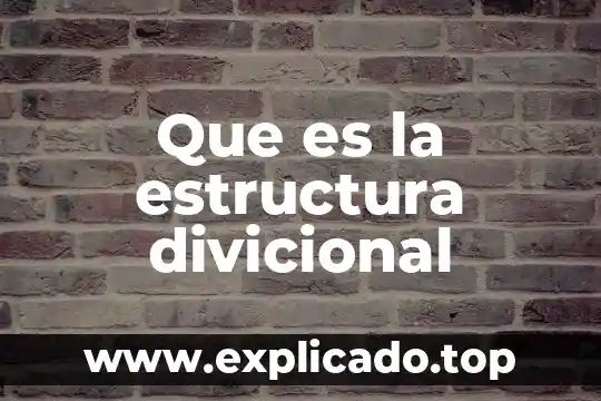Que es una estructura i io 3 Que es la estructura divicional