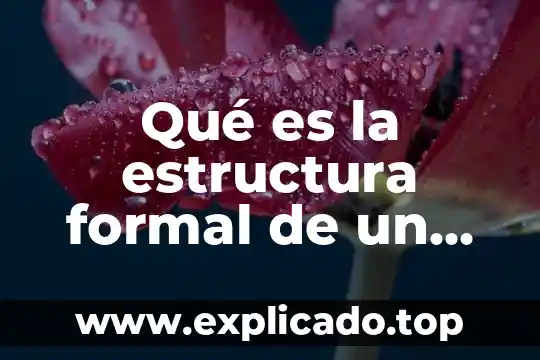 Que es un historiador poema 3 Qué es la estructura formal de un poema