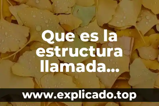 Que es la estructura llamada presente simple