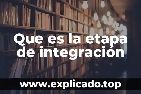 Qué es integración por partes y las directrices 8 Que es la etapa de integración
