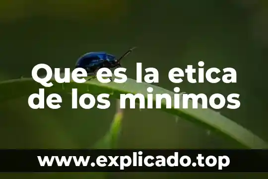 Que es la etica en el legislador 4 Que es la etica de los minimos