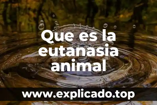 Para que es util un totem o animal de poder 3 Que es la eutanasia animal