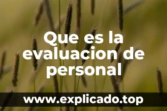 Que es analisis del desempeño evaluacion 5 Que es la evaluacion de personal