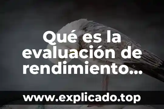 Que es el rendimiento en una prueba psicométrica 5 Qué es la evaluación de rendimiento físico