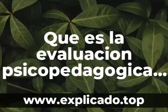 Que es la propuesta de intervencion psicopedagogica para educacion especial 5 Que es la evaluacion psicopedagogica segun autores