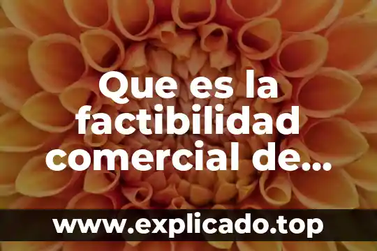 Que es lo que debe contener un proyecto 7 Que es la factibilidad comercial de un proyecto