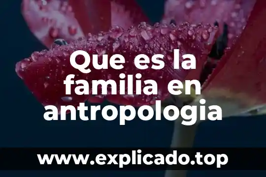 Que es la sociabilidad en la antropologia social 5 Que es la familia en antropologia