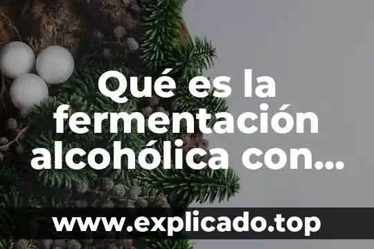 Que es una ecuación y tipos de ecuaciones 3 Qué es la fermentación alcohólica con ecuación química