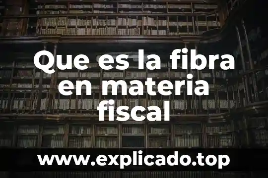 Por que es importante fibra que la proteina en rumiantes 4 Que es la fibra en materia fiscal