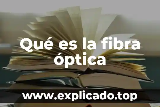 Por que es importante fibra que la proteina en rumiantes 7 Qué es la fibra óptica