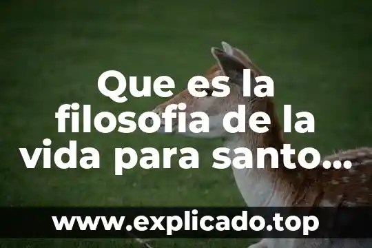 Que es contrato social de tomas hobbes 8 Que es la filosofia de la vida para santo tomas