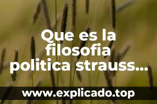 Que es naturaleza en la filosofia 7 Que es la filosofia politica strauss libreria