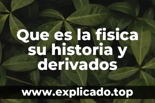 Que es la composición fisica 3 Que es la fisica su historia y derivados