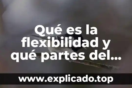Qué es un cuerpo libre en física 5 Qué es la flexibilidad y qué partes del cuerpo afecta
