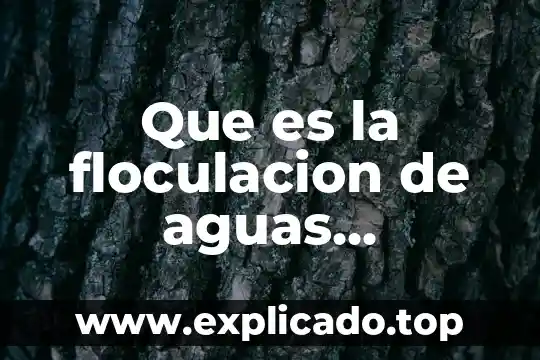 Para que es un carcamo de bombeo de aguas residuales 8 Que es la floculacion de aguas residuales