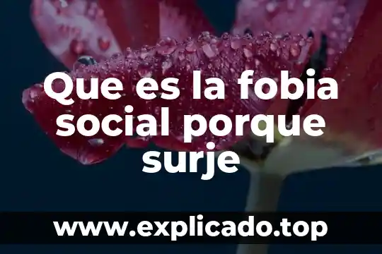 Que es una perrilla y porque sale 7 Que es la fobia social porque surje