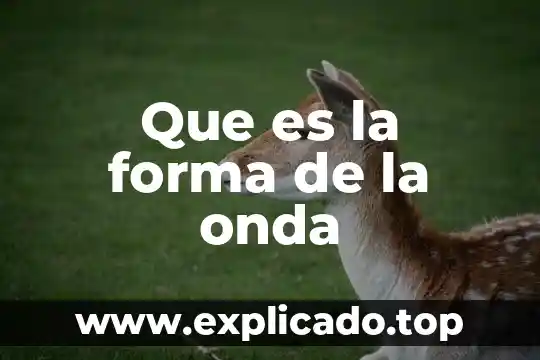 Qué es el almacenado de forma prolija 6 Que es la forma de la onda