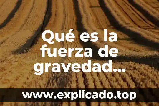 Que es una dieta explicacion para niños 4 Qué es la fuerza de gravedad explicación para niños