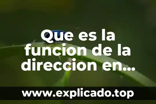 Que es la funcion de la direccion en administracion