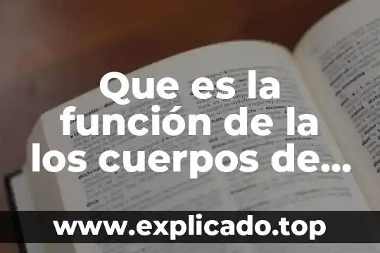 Que es la función de la los cuerpos de mallery