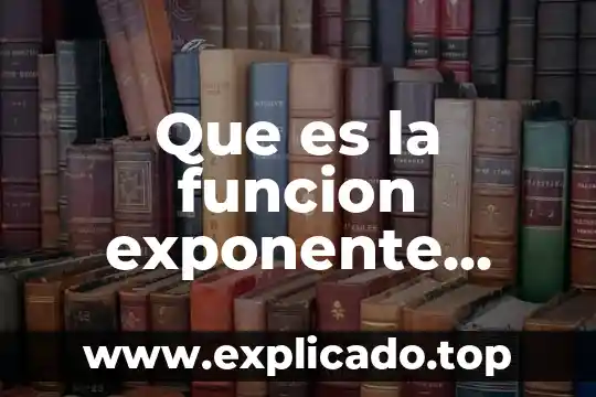 Qué es chapa de madera natural 3 Que es la funcion exponente natural