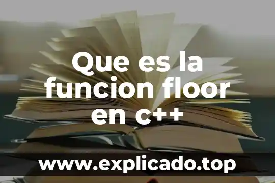 Que es un pseudocodigo en c 7 Que es la funcion floor en c++