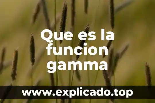 Que es la funcion gamma