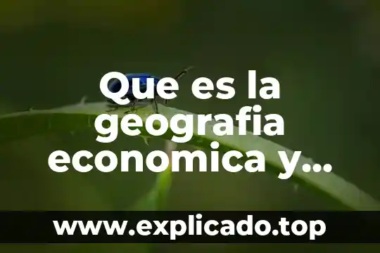Qué es la teoría económica y cómo se define 4 Que es la geografia economica y para que sirve