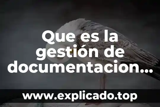 Que es una documentacion red 6 Que es la gestión de documentacion como se llevan acabo