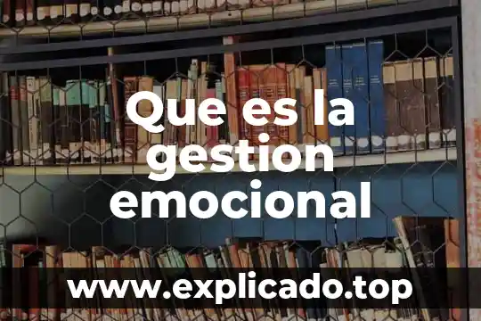 Que es un tesoro emocional y material 3 Que es la gestion emocional
