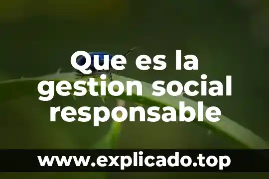Sustentable ambiental que es el consumo responsable 7 Que es la gestion social responsable