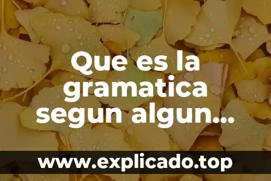 Que es comerlo en gramatica 5 Que es la gramatica segun algun autor