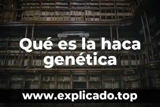Algias que es 5 Qué es la haca genética