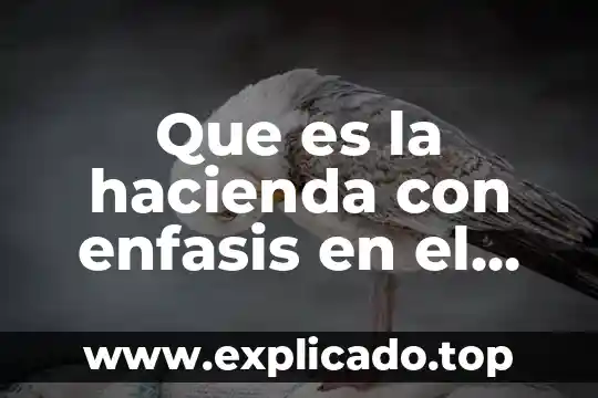 Qué es intercambio en derecho económico 8 Que es la hacienda con enfasis en el aspecto economico