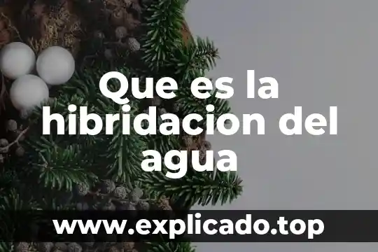 Que es la hibridacion del agua