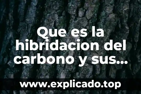 Que es la hibridacion del carbono y sus tipos