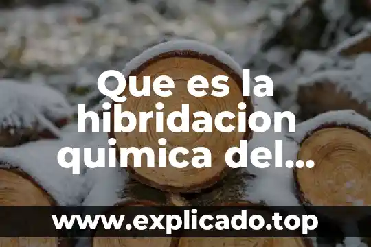 Que es la hibridacion quimica del carbono ejemplos