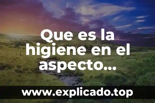 Que es la auditoria de seguridad e higiene 4 Que es la higiene en el aspecto informatica