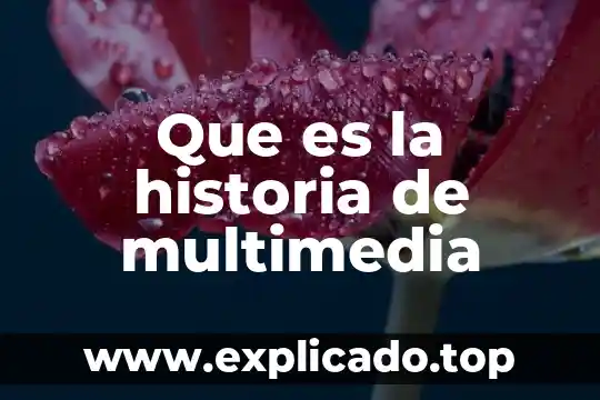 Que es la polisemia en la historia 4 Que es la historia de multimedia