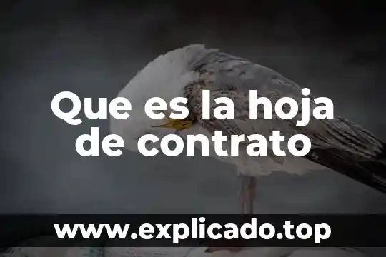 Com.google.chrome.c6uhof que es 4 Que es la hoja de contrato