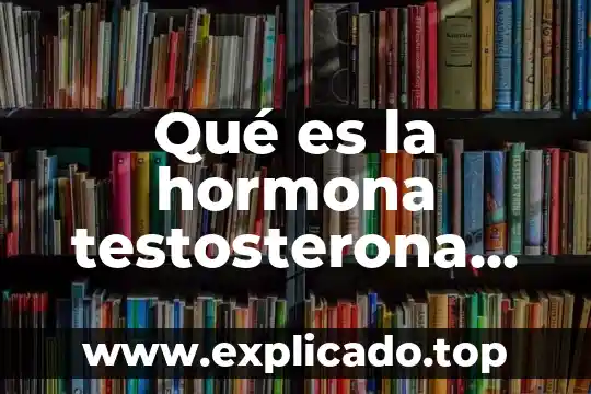 Qué es hormona luteinizante LH en hombres 7 Qué es la hormona testosterona total en los hombres