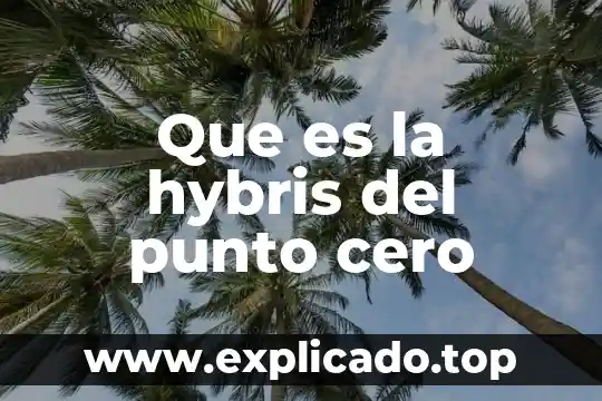 Punto de re-orden que es el 8 Que es la hybris del punto cero
