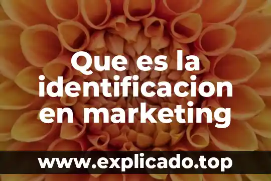 Qué es la identificación y pertenencia en personas y grupos 6 Que es la identificacion en marketing