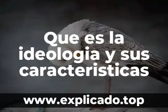 Qué es un sobre y sus características 7 Que es la ideologia y sus caracteristicas