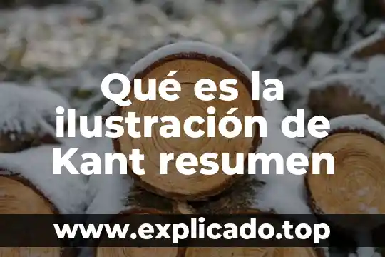 Que es filosofia para emmanuel kant 3 Qué es la ilustración de Kant resumen