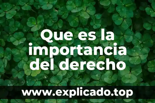 Qué es la patrística y su importancia 6 Que es la importancia del derecho