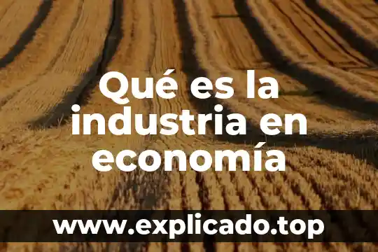 Que es la pet en economia 7 Qué es la industria en economía