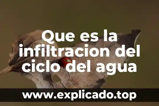 Por que es importate reciclar ciclo de vida de materiales 8 Que es la infiltracion del ciclo del agua